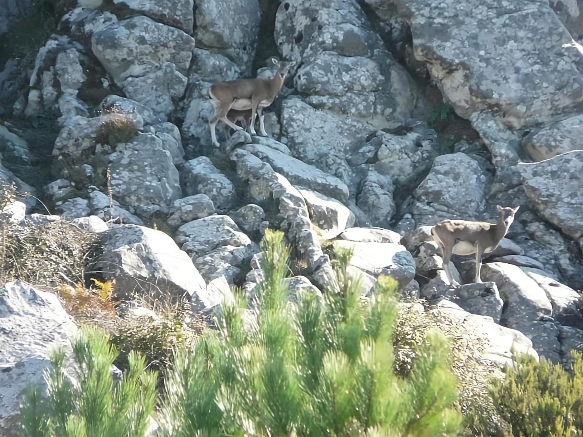Manderley-Case Sul Mare Santa Caterina Di Pittinuri  Eksteriør bilde
